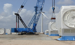 Global Mat International